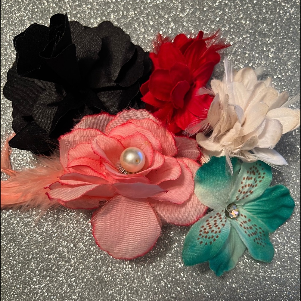 Bundle of 5 Hair Clips